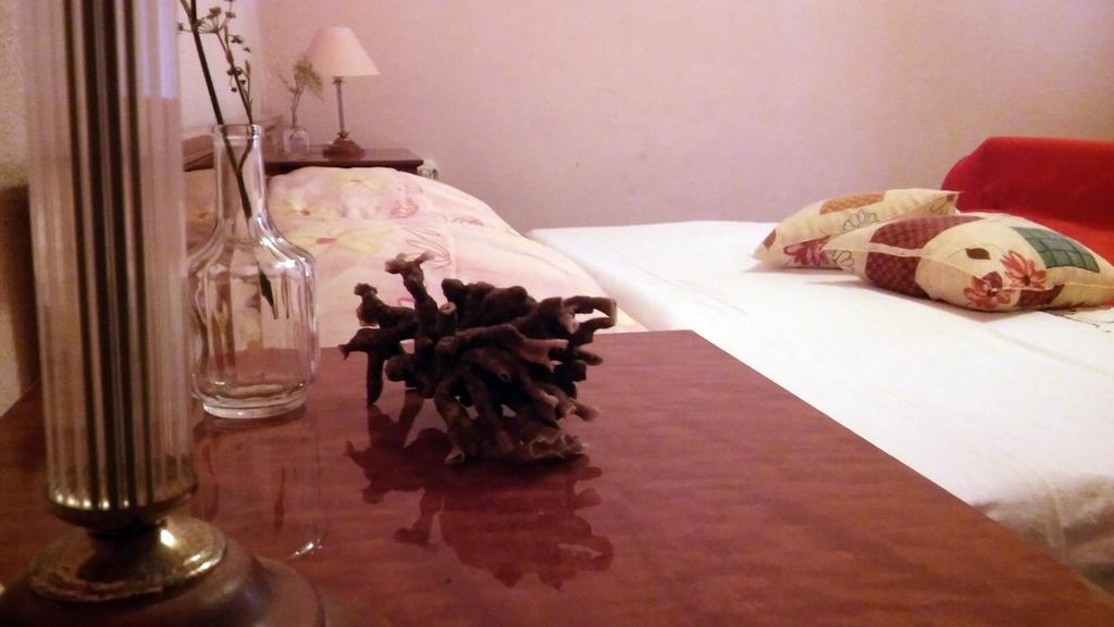 Apartmani Conar 大德尔韦尼克 外观 照片