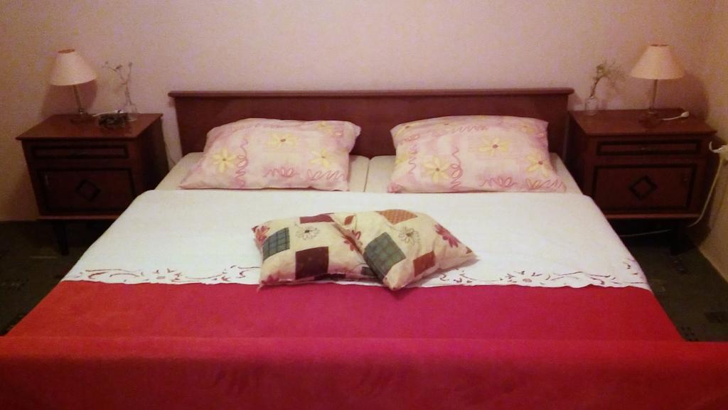 Apartmani Conar 大德尔韦尼克 外观 照片